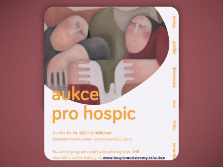 Aukce pro hospic