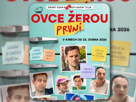 Ovce žerou první