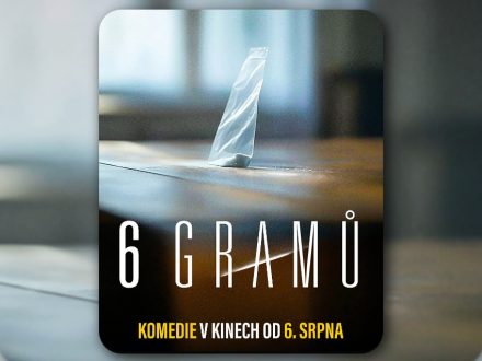 6 gramů